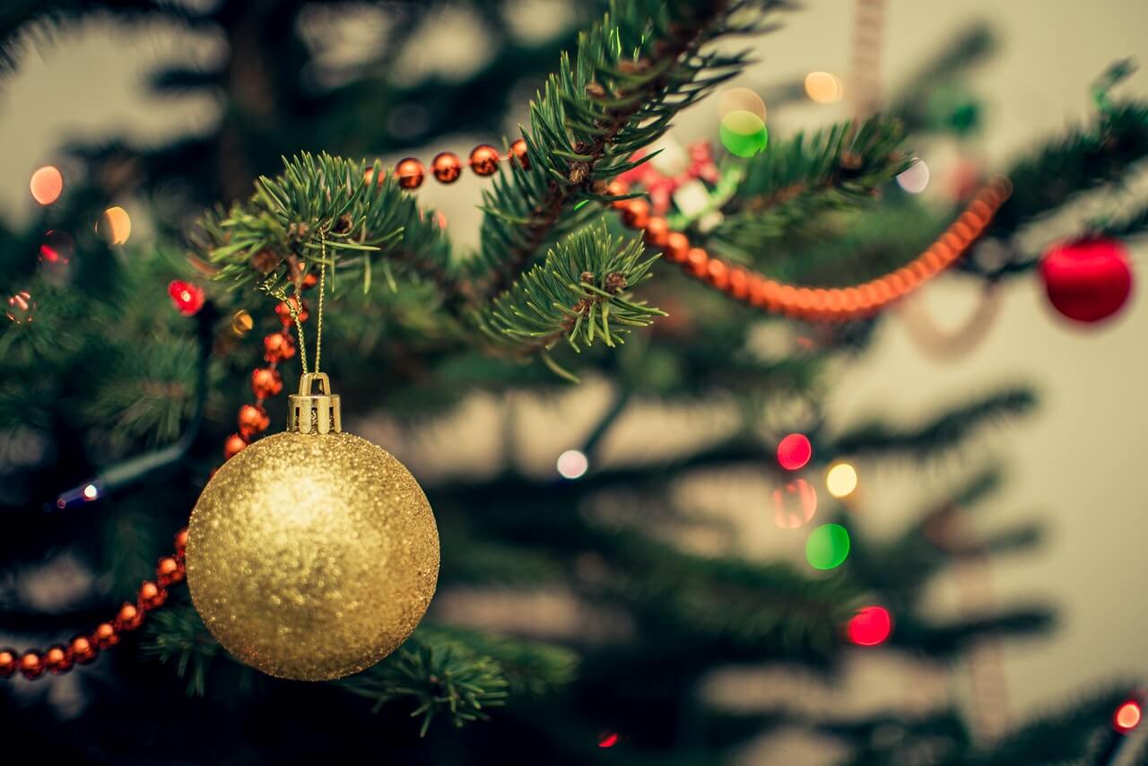 Christmas tree prices rising for first time in 10 years - MoneySense