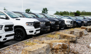 Pickup trucks lined up in a dealership lot