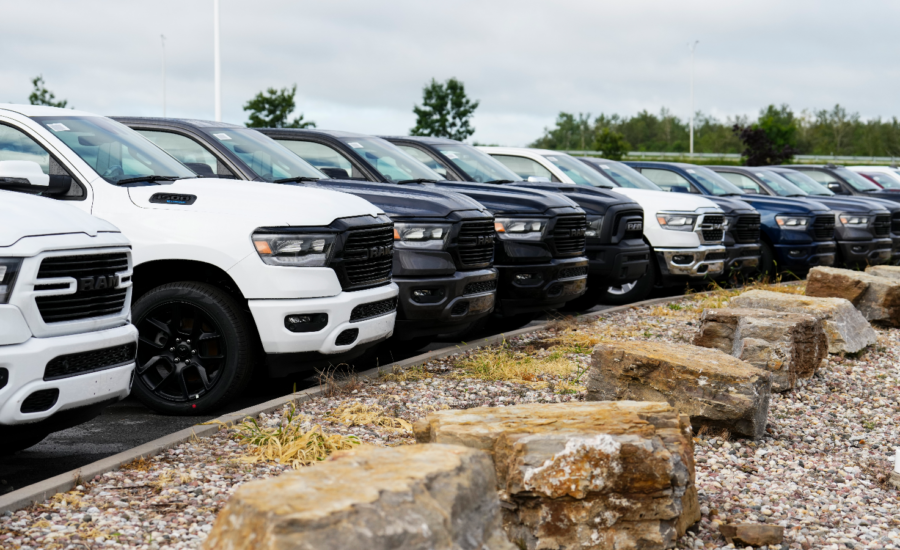 Pickup trucks lined up in a dealership lot